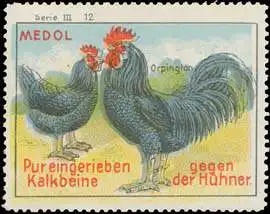 Orpington - Medol gegen Kalkbeine der HÃ¼hner