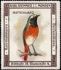 Rotschwanz