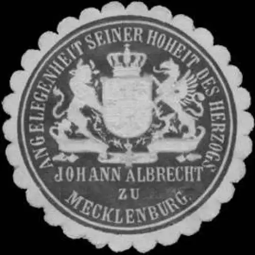 Angelegenheit seiner Hoheit des Herzogs Johann Albrecht zu Mecklenburg