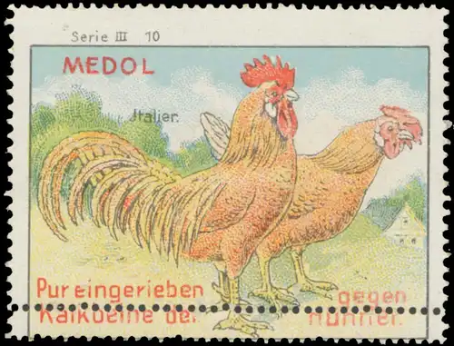 Italier Huhn - Medol pur eingerieben gegen Kalkbeine der HÃ¼hner