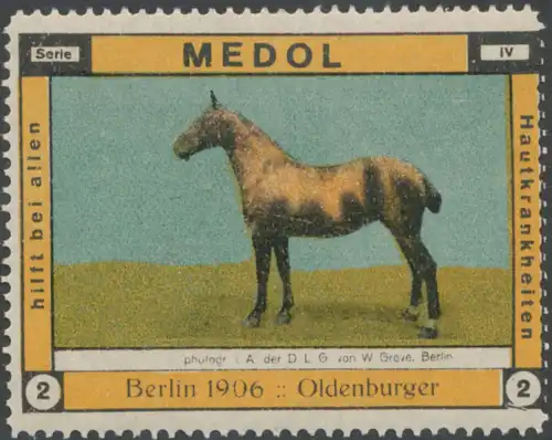 Pferd Oldenburger