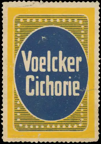 Voelcker Cichorie