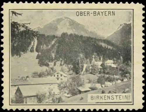 Birkenstein