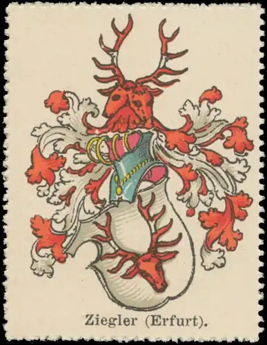 Ziegler (Erfurt) Wappen