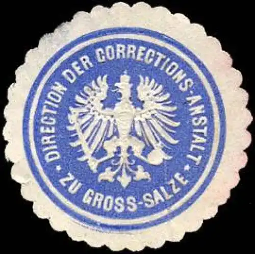 Direction der Korrektionsanstalt zu GroÃ Salze