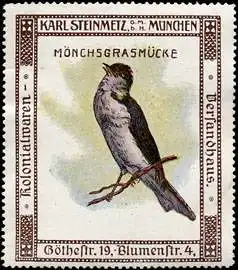 MÃ¶nchsgrasmÃ¼cke