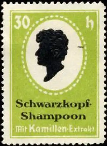 Schwarzkopf - Shampoon fÃ¼r den Friseur