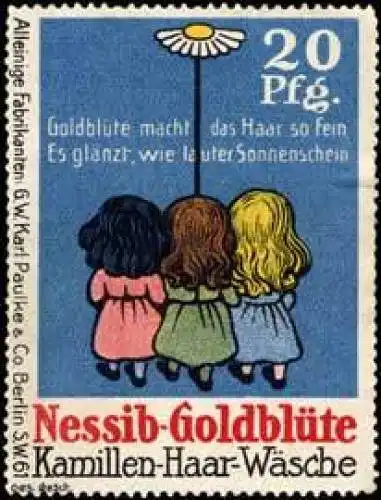 Nessib - GoldblÃ¼te