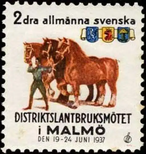 2dra allmanna svenska