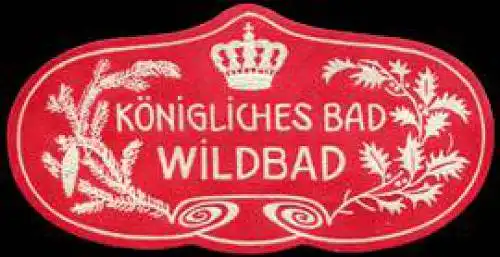 KÃ¶nigliches Bad - Wildbad