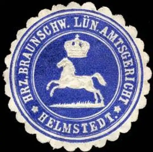 Herzoglich Braunschweig LÃ¼neburgische Amtsgericht - Helmstedt