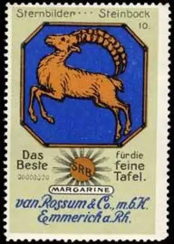 Sternbild Steinbock