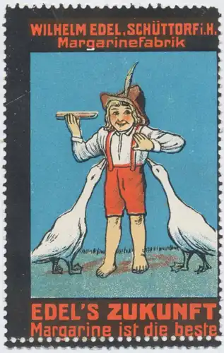 Junge mit GÃ¤nsen