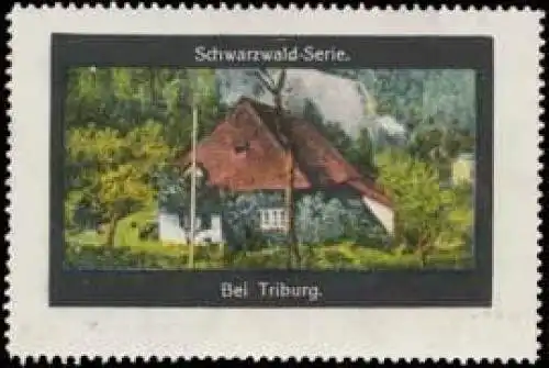 bei Triburg