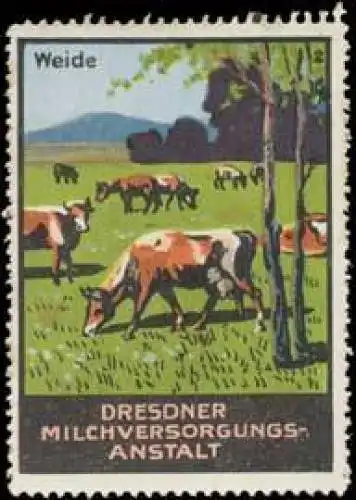 Milch KÃ¼he auf der Weide