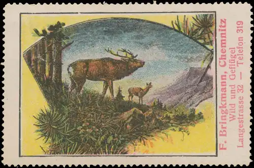 Hirsch