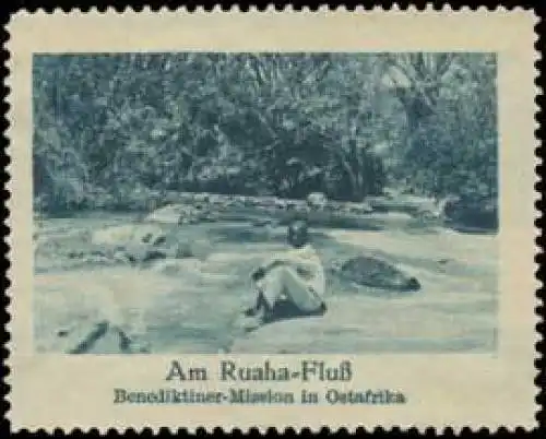 Am Ruaha-FluÃ