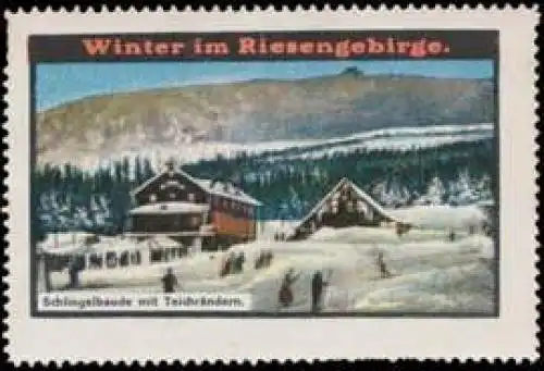 Schlingelbaude mit TeichrÃ¤ndern