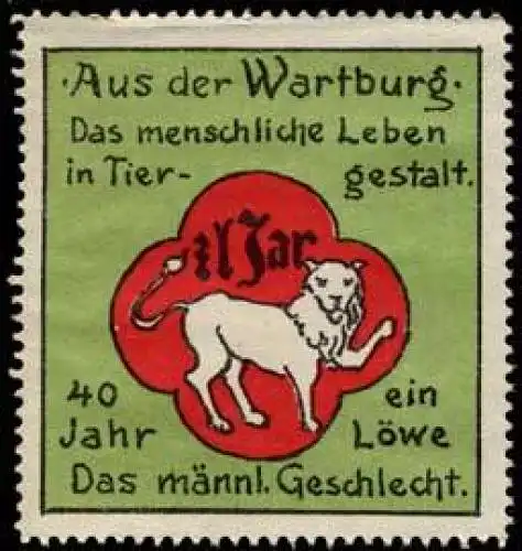 40 Jahr ein LÃ¶we