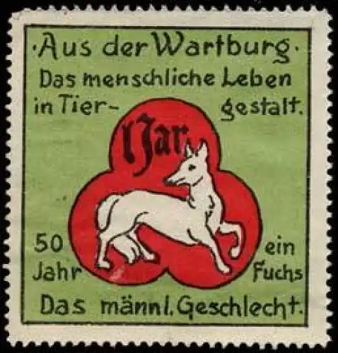 50 Jahr ein Fuchs