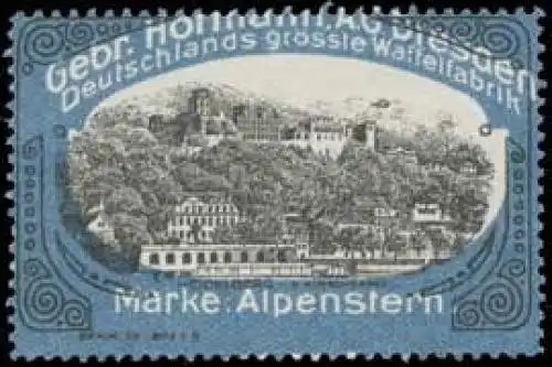 SchloÃ Heidelberg