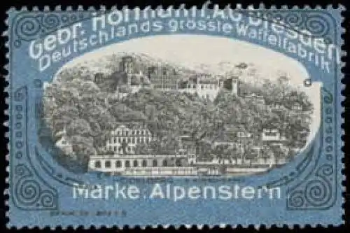 Schloà Heidelberg