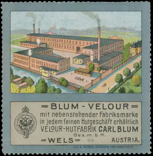 Blum-Velour HÃ¼te
