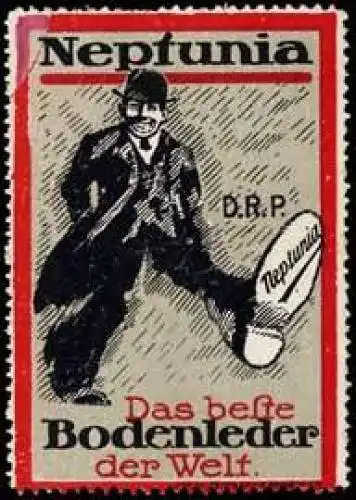 Neptunia Bodenleder