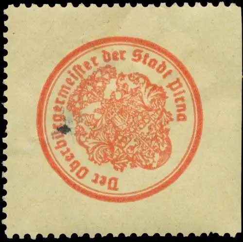 Der OberbÃ¼rgermeister der Stadt Pirna