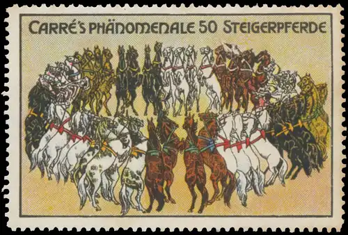 Carres phÃ¤nomenale 50 Steigerpferde