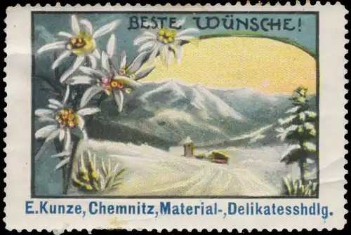 Beste WÃ¼nsche zum Neujahr