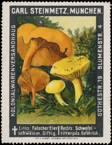 Falscher Eierschwamm - Schwefelritterpilz