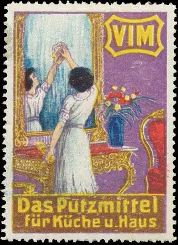 Vim das Putzmittel für Küche und Haus
