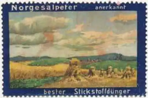 StickstoffdÃ¼nger