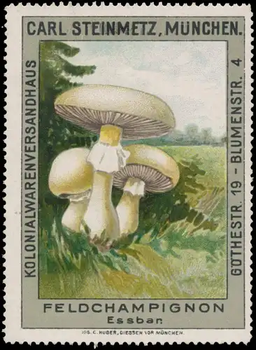 Feldchampignon