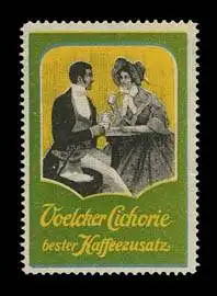 Voelcker Cichorie