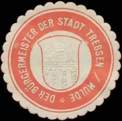 Der BÃ¼rgermeister der Stadt Trebsen/Mulde