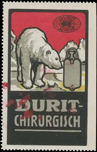 EisbÃ¤r - Durit Chirurgisch