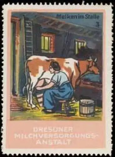 Milch KÃ¼he melken