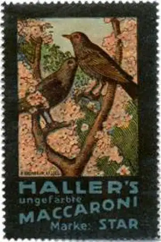 Hallers ungefÃ¤rbte Makkaroni Marke : Star