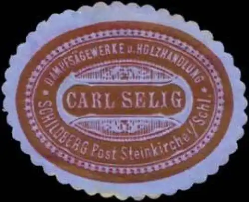 DampfsÃ¤gewerk