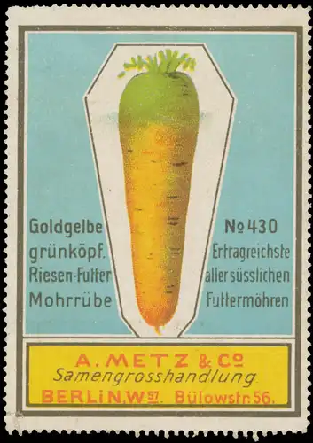 Goldgelbe Riesenfutter MohrrÃ¼be No. 430