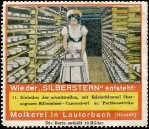 Silberstern Camembert KÃ¤se