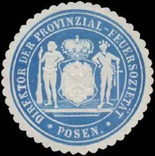 Direktor der Provinzial-FeuerzozietÃ¤t Posen