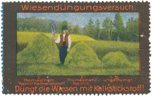 WiesendÃ¼ngungsversuch