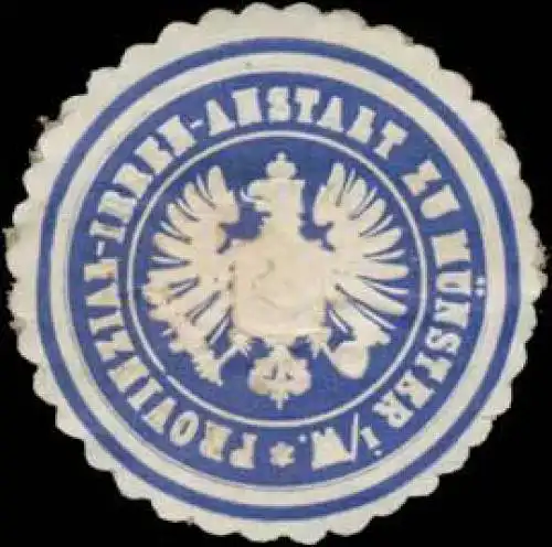 Provinzial-Irrenanstalt zu MÃ¼nster/W
