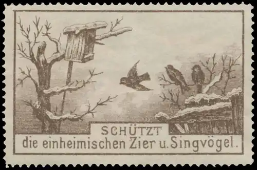 Schützt die einheimischen Zier- und Singvögel