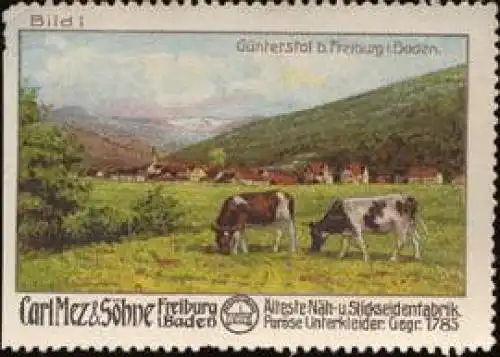 Günterstal bei Freiburg