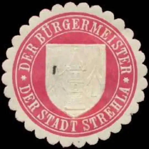 Der BÃ¼rgermeister der Stadt Strehla