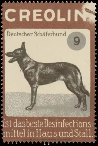 Deutscher SchÃ¤ferhund